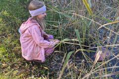 IMG-20251018-WA0020