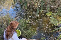 IMG-20251018-WA0023
