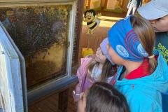 IMG-20251018-WA0027