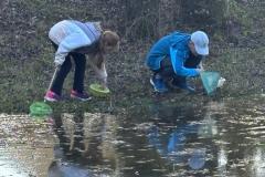 IMG-20251018-WA0036