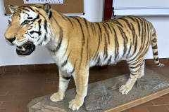 260103_Tierpark-13
