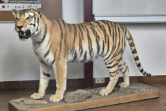 260103_Tierpark-16