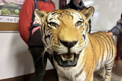 260103_Tierpark-24