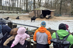 260103_Tierpark-32