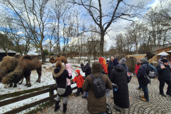 260103_Tierpark-38