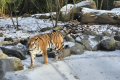 260103_Tierpark-40