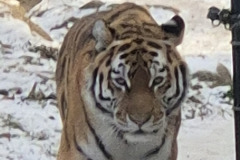 260103_Tierpark-41