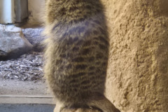 260103_Tierpark-45
