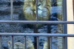 260103_Tierpark-47