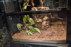260103_Tierpark-51