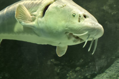 260103_Tierpark-52
