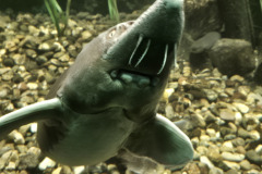 260103_Tierpark-53