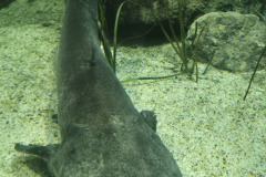 260103_Tierpark-54