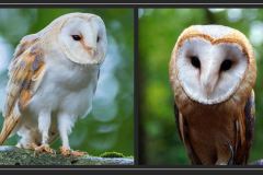 260110_Jahrestreffen-15