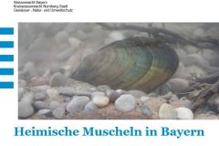 260110_Jahrestreffen-18