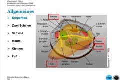 260110_Jahrestreffen-19