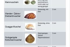 260110_Jahrestreffen-22