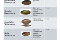 260110_Jahrestreffen-23