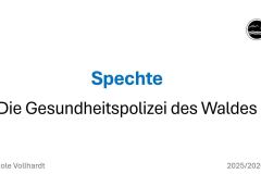 260110_Jahrestreffen-25