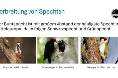 260110_Jahrestreffen-28