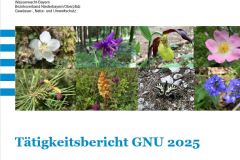 260110_Jahrestreffen-5