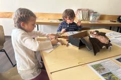 07-IMG-20260131-WA0002