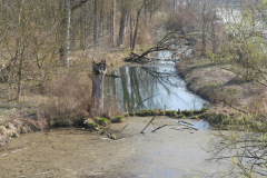 Karfreitag-16
