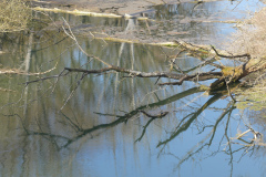 Karfreitag-18