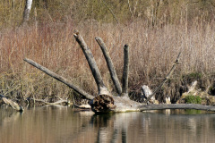 Karfreitag-24