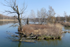 Karfreitag-37