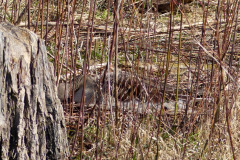 Karfreitag-38