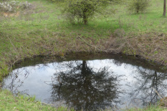 260418_Fruehjahrsboten-100