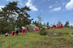 260418_Fruehjahrsboten-114