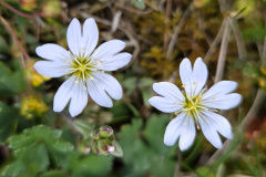 260418_Fruehjahrsboten-117