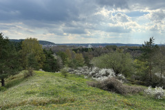 260418_Fruehjahrsboten-118