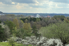 260418_Fruehjahrsboten-119