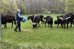 260418_Fruehjahrsboten-39