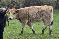 260418_Fruehjahrsboten-42