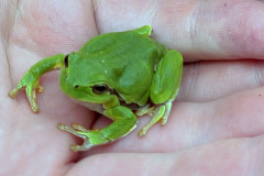 260418_Fruehjahrsboten-46