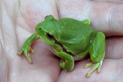 260418_Fruehjahrsboten-47