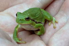 260418_Fruehjahrsboten-48