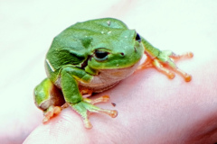 260418_Fruehjahrsboten-49_