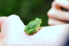 260418_Fruehjahrsboten-49__