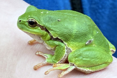 260418_Fruehjahrsboten-51