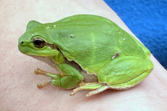 260418_Fruehjahrsboten-52