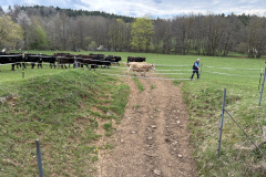 260418_Fruehjahrsboten-54