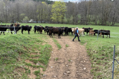 260418_Fruehjahrsboten-55