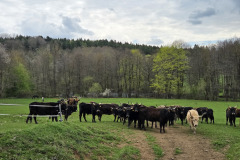 260418_Fruehjahrsboten-56