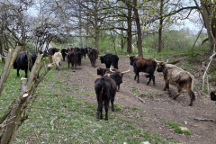 260418_Fruehjahrsboten-58