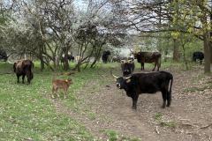 260418_Fruehjahrsboten-59